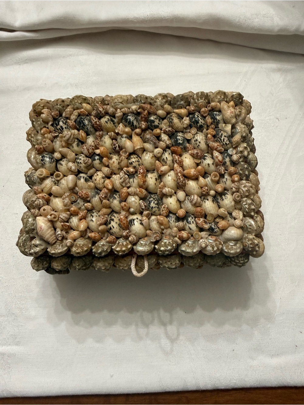 Vintage Seashell Box 7 1:2" X 5 1/2" X 3 Red Felt Lined